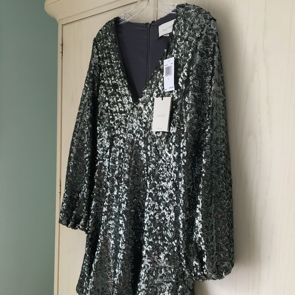 NEW Alexis Silver Sequin Dress